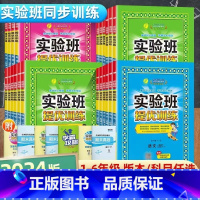 数学-人教版 五年级下 [正版]2024春实验班提优训练三年级下册一年级二年级四年级五六年级上册下册语文数学英语人教版苏