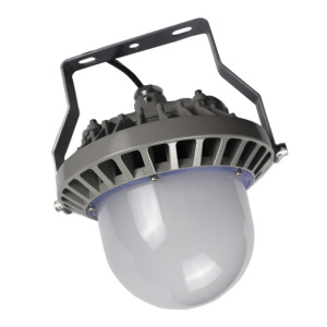 鼎晟丰(DSF) DSFG-921A AC110-240V 100W IP66 6000K LED平台灯 (计价单位:个) 灰色