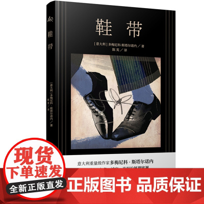 鞋带(意大利版婚姻故事) 多梅尼科?斯塔尔诺内 上海译文出版社 正版书籍