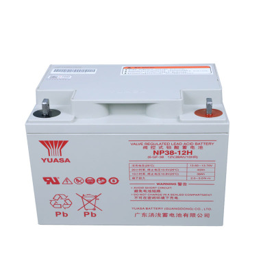 汤浅YUASA 免维护铅酸蓄电池12V38Ah NP38-12H(含配件)块