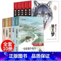 曹文轩画本+沈石溪画本[全10册] [正版]狼王梦沈石溪动物小说画本全套5册小学生课外阅读书籍漫画版故事书三四五六年级的