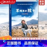 羊群里的孩子 [正版]羊群里的孩子 李珊珊著 一个彝族孩子眼中的家乡脱贫史纪念2020年中国脱贫攻坚巨大胜利 四川少年儿