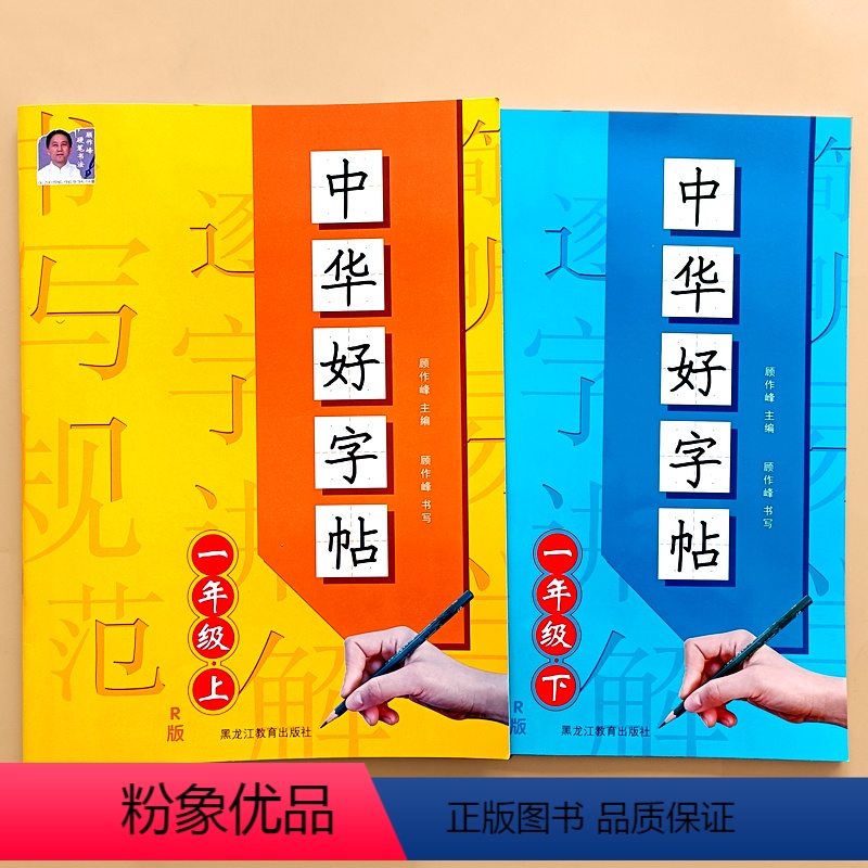 中华好字帖.一年级上+下(赠写字练习本) [正版]一年级字帖练字上册下册语文同步每日一练人教版儿童笔顺临摹汉字笔画练字贴