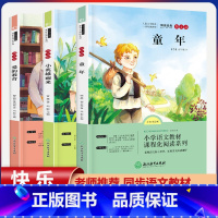 六年级上册快乐读书吧[全套3本] [正版]全套3册 爱的教育小英雄雨来童年书高尔基原著完整版快乐读书吧六年级上册课外书必