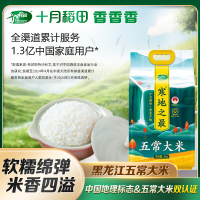十月稻田寒地之最五常大米5kg真空装10斤东北大米粳米2024年新米