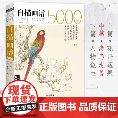 白描画谱5000例中篇·禽鸟走兽勾线描荷花卉临摹图谱书籍手绘自学sh