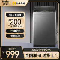 海尔(Haier)波轮洗衣机8公斤容量家用全自动洗衣机自编程速洗除菌洗漂脱可调洗脱一体出租房宿舍 XQB80-Z606