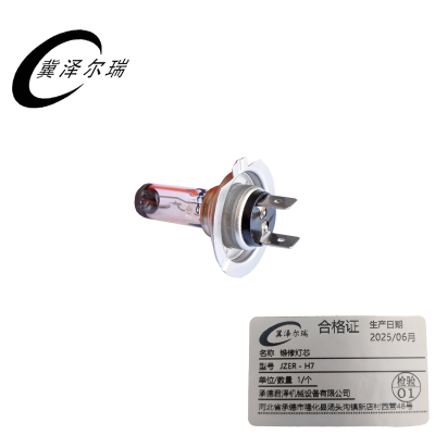 冀泽尔瑞 维修灯芯 JZER - H7 个