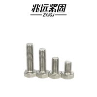 兆远紧固 304不锈钢六角螺栓(个)(22*80)