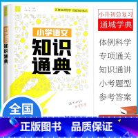 小学语文知识通典 小学通用 [正版]2025通成学典 小学语文知识通典 全国通用1-6年级统编语文知识精华基础知识大全字