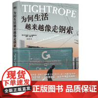 为何生活越来越像走钢索 普利策奖得主 天空的另一半作者 讲述普通劳动者困境的全新力作 外国纪实文学 磨铁图书 正版书籍