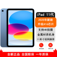 [原封]Apple iPad 11代 128GB WLAN版 蓝色 A16芯片 1200万像素 4K录制视频 学习娱乐办公平板电脑