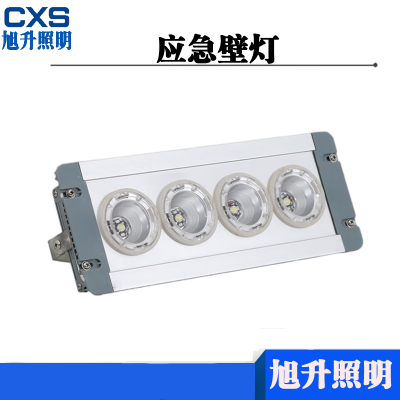 旭升cxs CGZD1701L 4*3W 12W IP65 AC220V 色温5000K 应急壁灯
