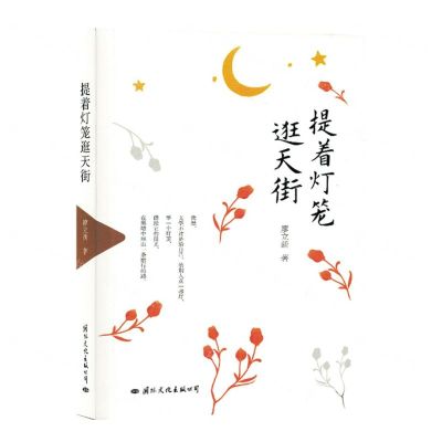 [N]提着灯笼逛天街-9787512514362