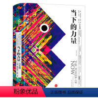 [正版]当下的力量 新版白金版 埃克哈特·托利著张德芬 活在当下 自我实现励志读物心灵大师经典之作书籍排行榜 出版
