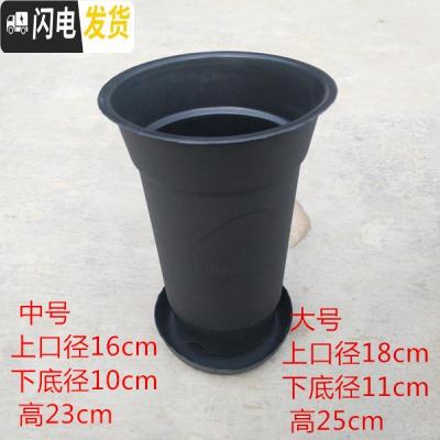 三维工匠塑料花盘 兰花专用花盆 塑料兰花盆 塑料花盆 红色[大号口径18高25]不带托盘 兰花盆[5个花盆,实发花盆容器