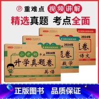 ⭐[三本装]语数英3册 小学升初中 [正版]小升初真题卷必刷人教版总复习名校冲刺真题卷专题