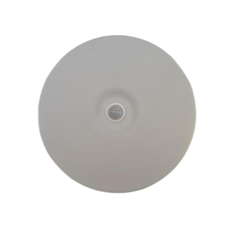古信人体感应吸顶灯 12W 个