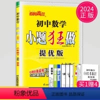 [正版]2024初中数学小题狂做提优版八年级下册数学八下苏科版江苏初二下学期8年级下苏教版同步练习册辅导书教辅资料基础