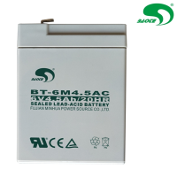 赛特蓄电池BT-6M4.5AC(6V4.5AH)/块