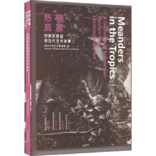 音像热带风暴:印度尼西亚现当代艺术叙事清华大学艺术博物馆 编