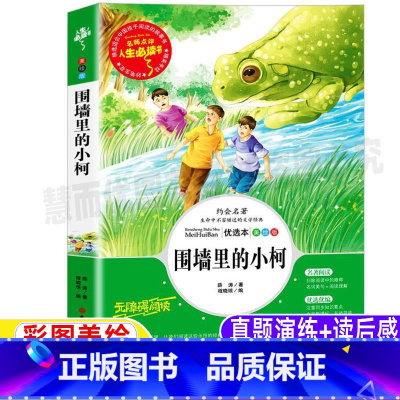 [正版]围墙里的小柯薛涛著彩图美绘版名师导读带批注读后感小学生三年级四五六年级上下册通用课外书吉林大学出版社