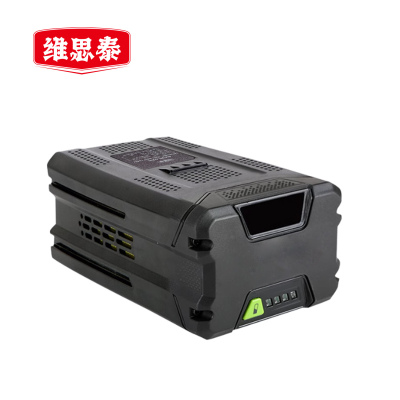 维思泰 锂电电池可充电锂电池包 82V5Ah 个1