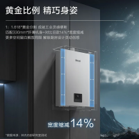林内(Rinnai)RUS-13GD31 [小蛮腰]燃气热水器天然气13升 恒温轻音 纤巧机身