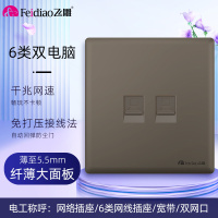 飞雕(FEIDIAO)超薄大板 开关插座格韵系列86型带开关插座面板墙壁电源插座 格韵荧光灰二位电脑插
