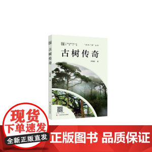 古树传奇