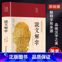 说文解字 [正版]说文解字布面精装 彩图珍藏版原版许慎著全版今释图解首篆书字注解 精装大字本说文解字注段玉裁注小学生版图