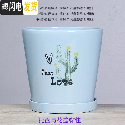 三维工匠白色欧式花盆陶瓷特大中三号绿植盆栽创意简约花盆带托盘 T-GJ300-11蓝仙人掌 大花盆容器