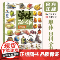 单体百科全书3色彩篇 2025烈公文化色彩基础单个水果蔬菜花卉杂物器皿静物临摹写生范本美术高考联考教材教程水粉书籍