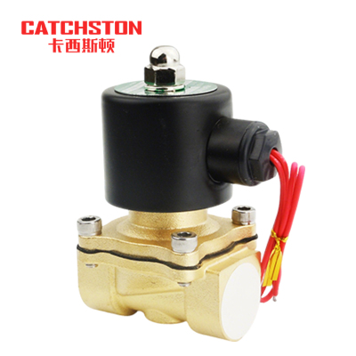 卡西斯顿 管道电磁阀 2W200-20 个
