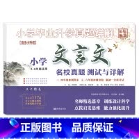文言文 小学升初中 [正版]2023小升初小学毕业升学真题详解古诗词文言文阅读与理解积累与运用3-6三四五六年级小学升初