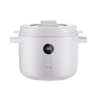 龙的LD-DG2535电炖锅2.5L