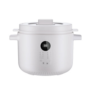 龙的LD-DG2535电炖锅2.5L