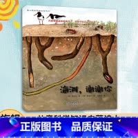 [正版]3本海滩谢谢你 蒲公英科学绘本系列 儿童书籍0-3-6岁幼儿趣味科普百科全书宝宝早教启蒙认知书宝宝睡前故事书图