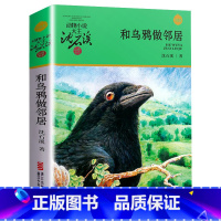和乌鸦做邻居 [正版]书店和乌鸦做邻居 升级版 动物小说大王沈石溪品藏书系 小学三四五六年级课外阅读书籍动物小说 浙江少