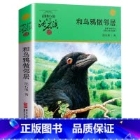 和乌鸦做邻居 [正版]书店和乌鸦做邻居 升级版 动物小说大王沈石溪品藏书系 小学三四五六年级课外阅读书籍动物小说 浙江少