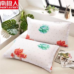 一对装枕套卡通成人枕头套单人卡通枕芯套48x74cm春夏秋冬季
