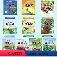 法布尔昆虫记[全册10本] [正版]全套10册 法布尔昆虫记昆虫绘本3一6读物幼儿版科普启蒙关于认识虫子的虫虫书昆虫图鉴