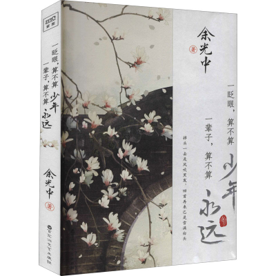 醉染图书一眨眼,算不算少年 一辈子,算不算永远9787550040540