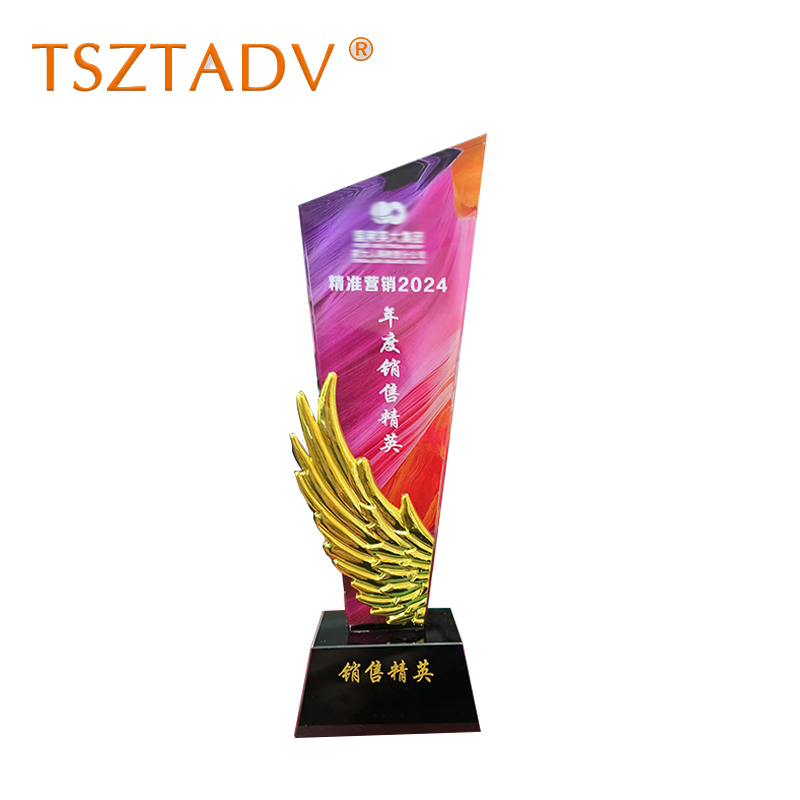 TSZTADV 奖杯 8cm*27cm 个