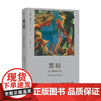 黑暗 光之外的文化史 尼娜·爱德华兹 著 文化
