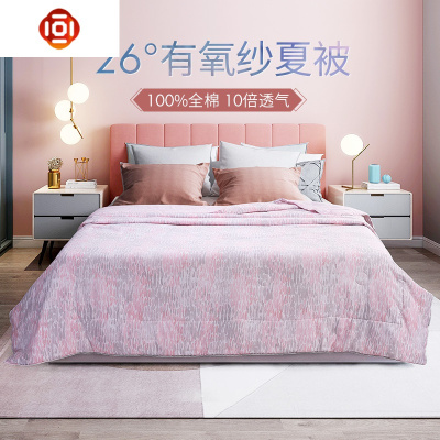 有氧纱夏被棉夏凉被空调被水洗棉可机洗棉可水洗被芯薄三维工匠被子