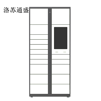 洛苏通盛智能快递柜小区快递自提柜派件柜室外寄存柜信报箱储物柜主柜17格