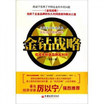 正版新书]金钻战略-低成本创造品牌高利润丁举昌9787513603324
