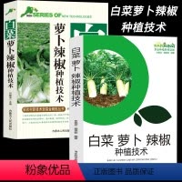 [正版]白菜萝卜辣椒种植技术大小白菜栽培技术采后处理萝卜培育选种栽种要求季节茬口安排辣椒品种选择育苗品种的选择栽培土壤