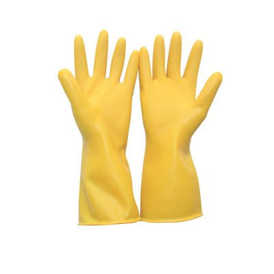 BW 乳胶手套 fg006/副